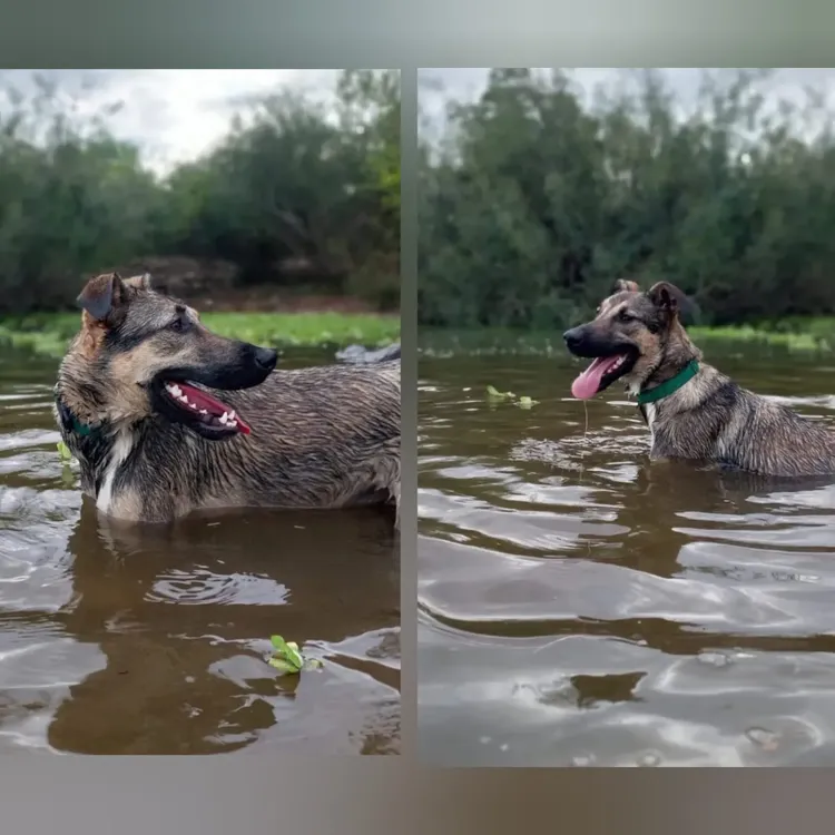 WhatsApp Image 2024-02-28 at 09.41.39