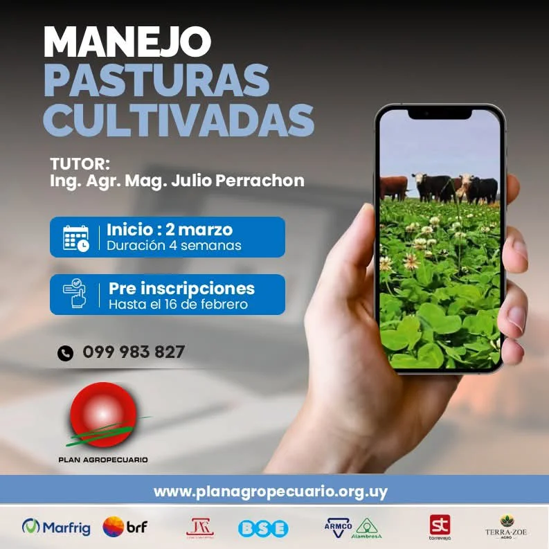 FB_IMG_1770811502474