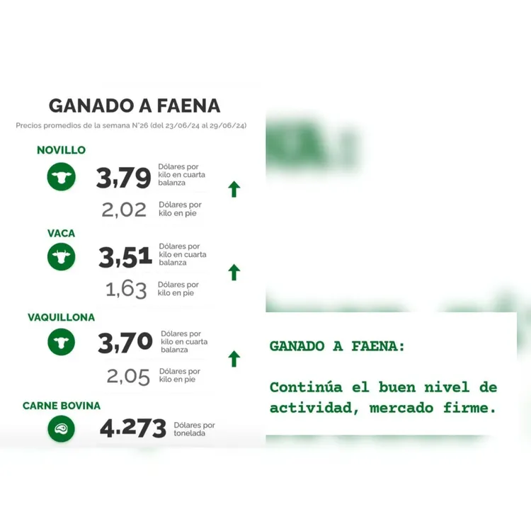 InShot_20240702_085208822