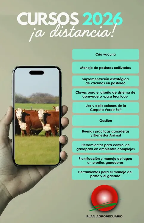 FB_IMG_1767983081988