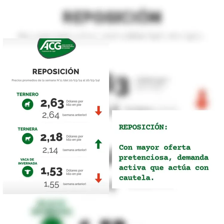 InShot_20240319_174051153