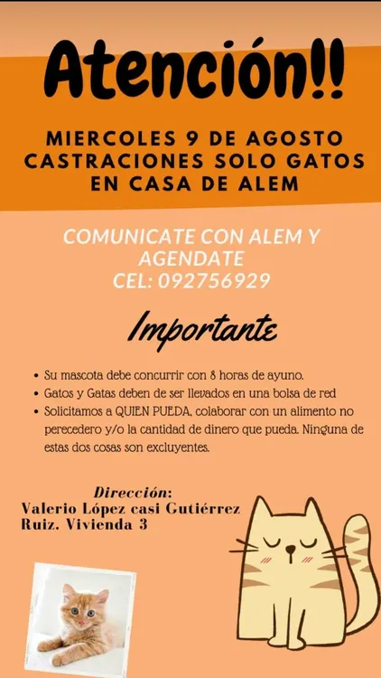 WhatsApp Image 2023-08-07 at 14.13.17