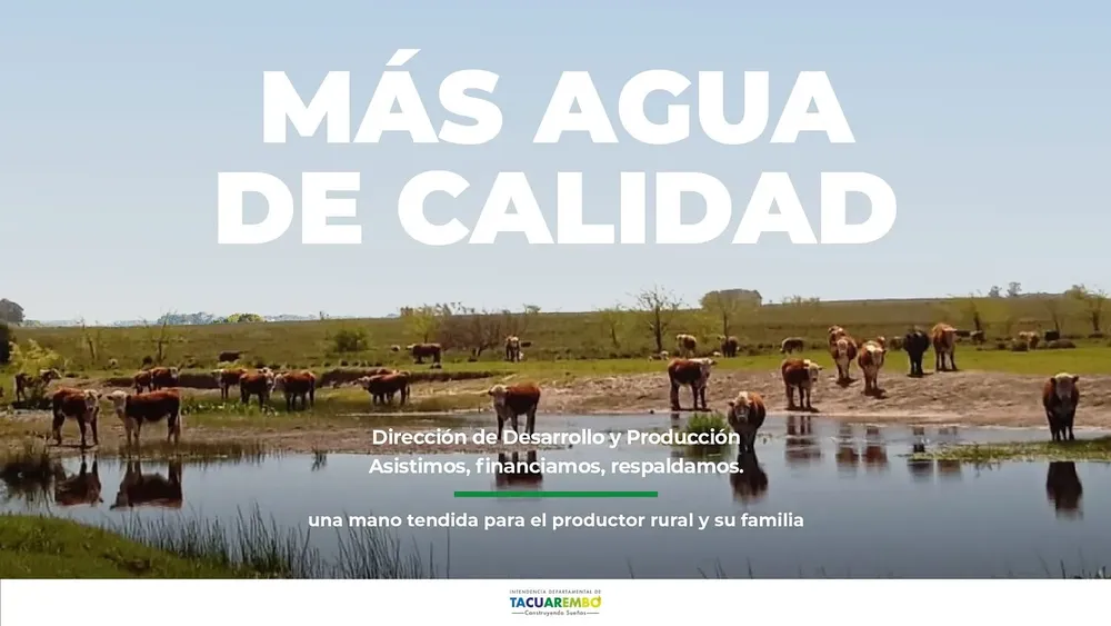 439993274_18225354517278053_6191266151372525662_n