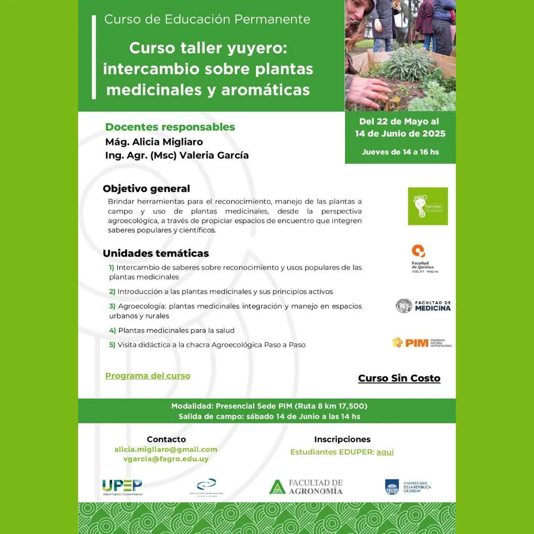 FB_IMG_1747902096995