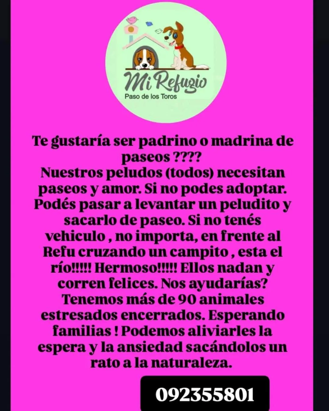 FB_IMG_1727713961626