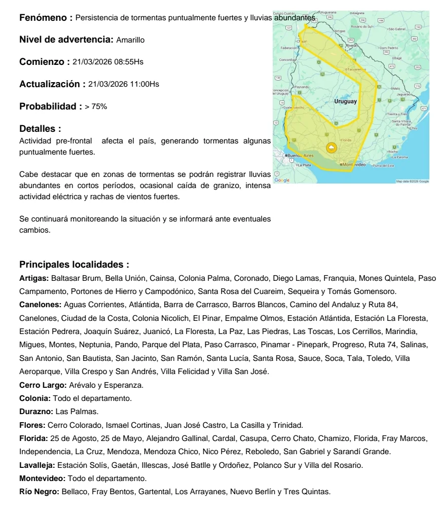Screenshot_20260321_094946_com_hihonor_hnoffice_PDFPhoneActivity0