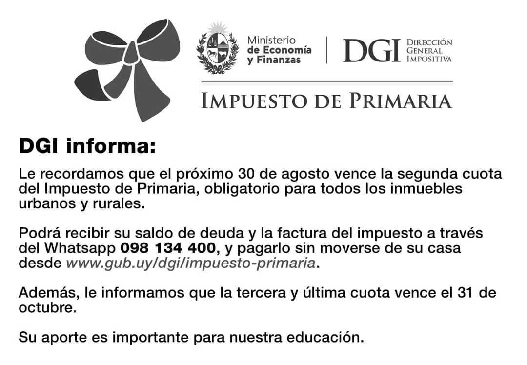 FB_IMG_1724060607568