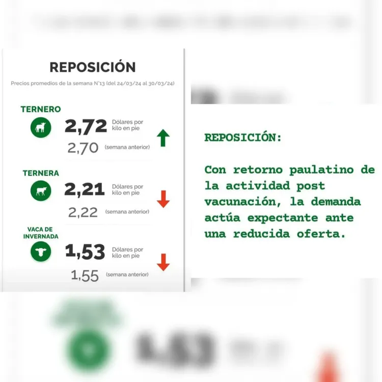 WhatsApp Image 2024-04-02 at 14.21.02