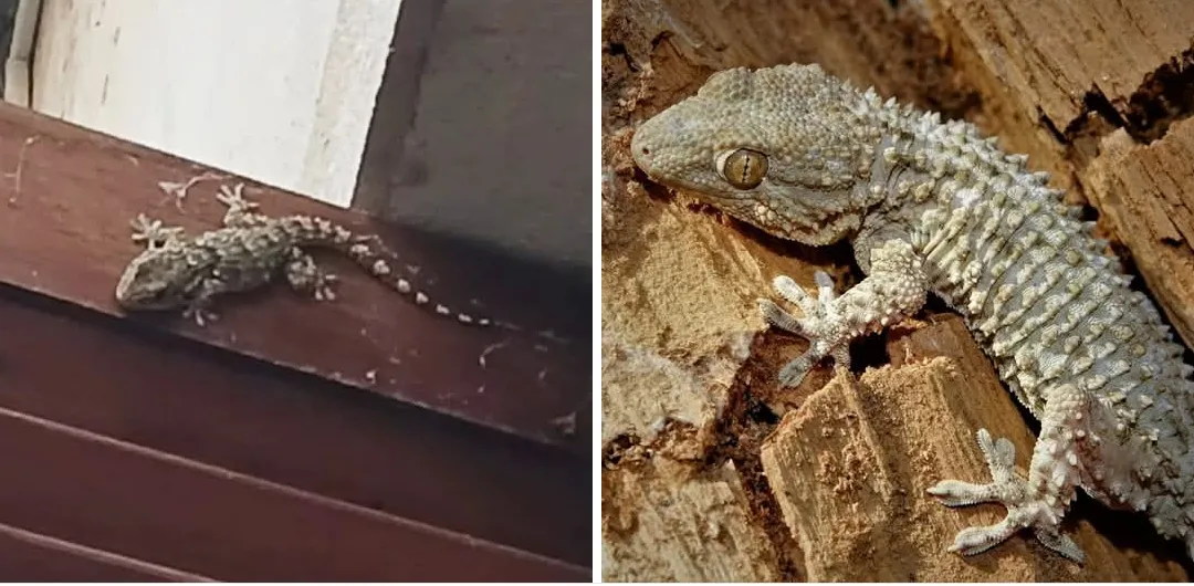 Screenshot_2025-12-07-08-03-19-355_com.facebook.katana-edit