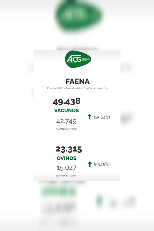 WhatsApp Image 2024-04-30 at 08.45.43 (1)