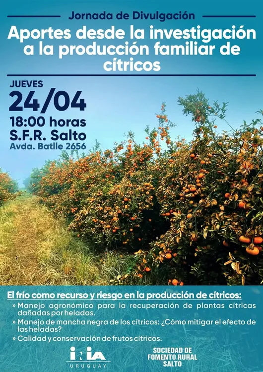 FB_IMG_1744757055696