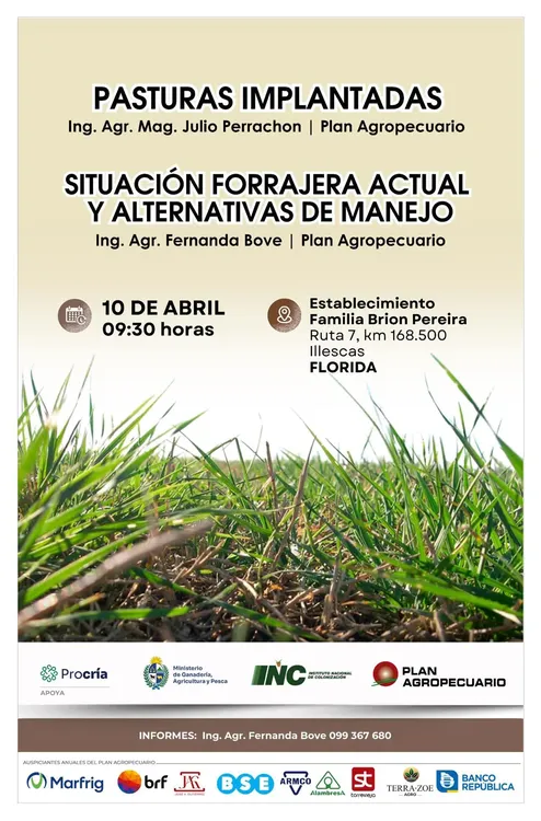 FB_IMG_1775563521994