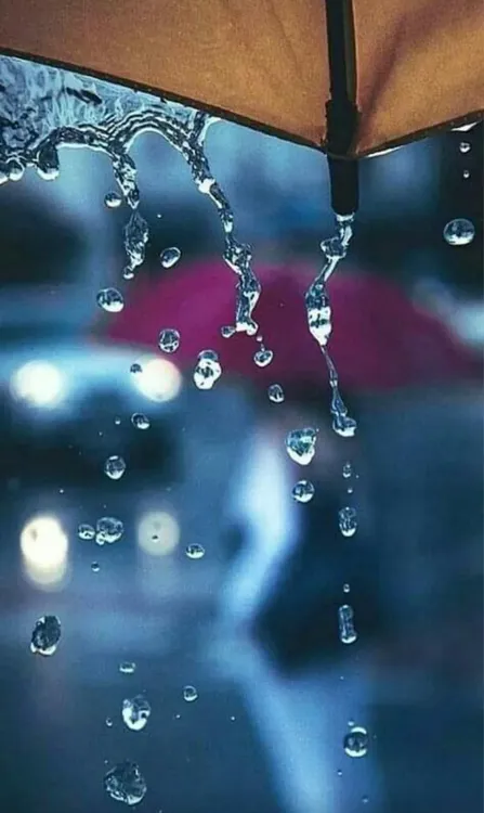 Screenshot_20231111_113632_Facebook