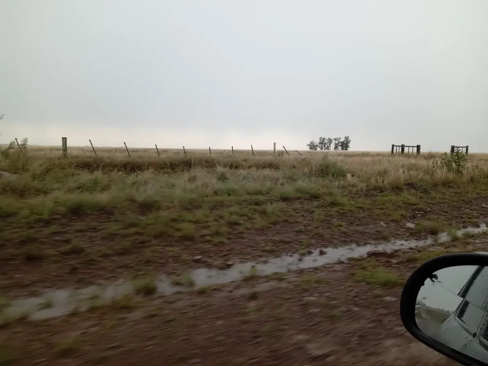 IMG-20250222-WA0053