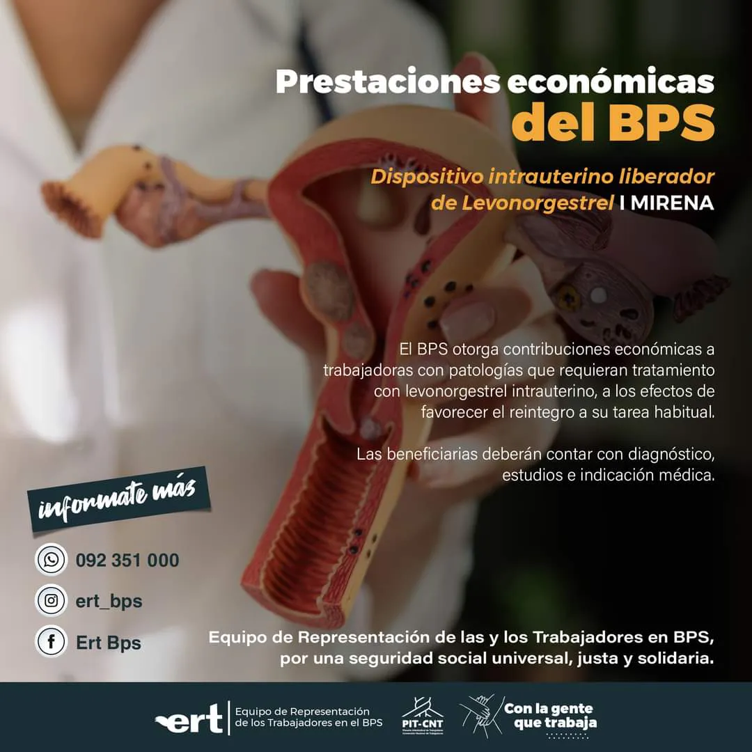 WhatsApp Image 2023-07-30 at 19.59.54