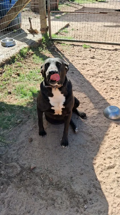 WhatsApp Image 2024-01-02 at 14.55.02 (2)