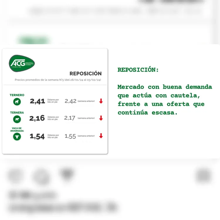 WhatsApp Image 2024-02-06 at 14.23.28