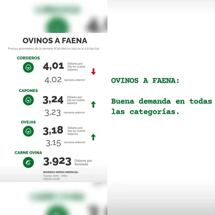 InShot_20240910_091657622