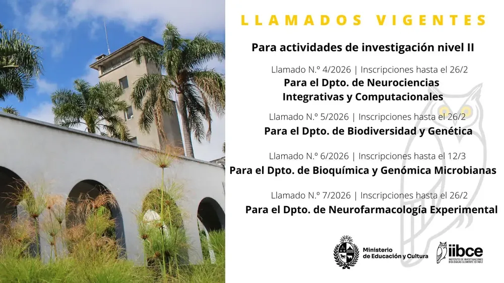 FB_IMG_1770749917273