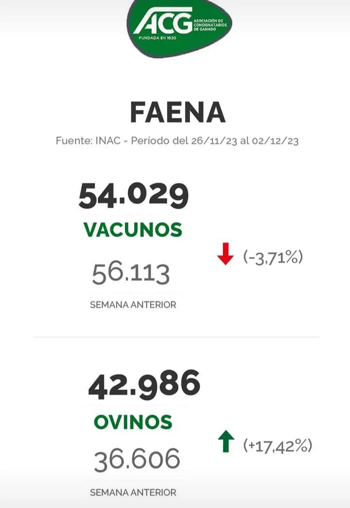 WhatsApp Image 2023-12-05 at 07.55.39