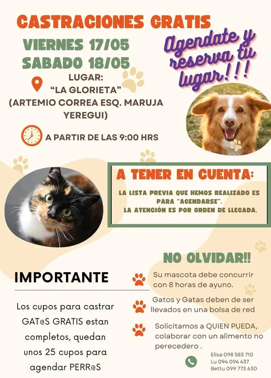 WhatsApp Image 2024-05-14 at 14.46.53