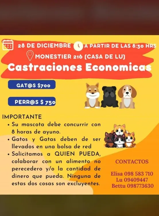 WhatsApp Image 2023-12-26 at 11.26.29