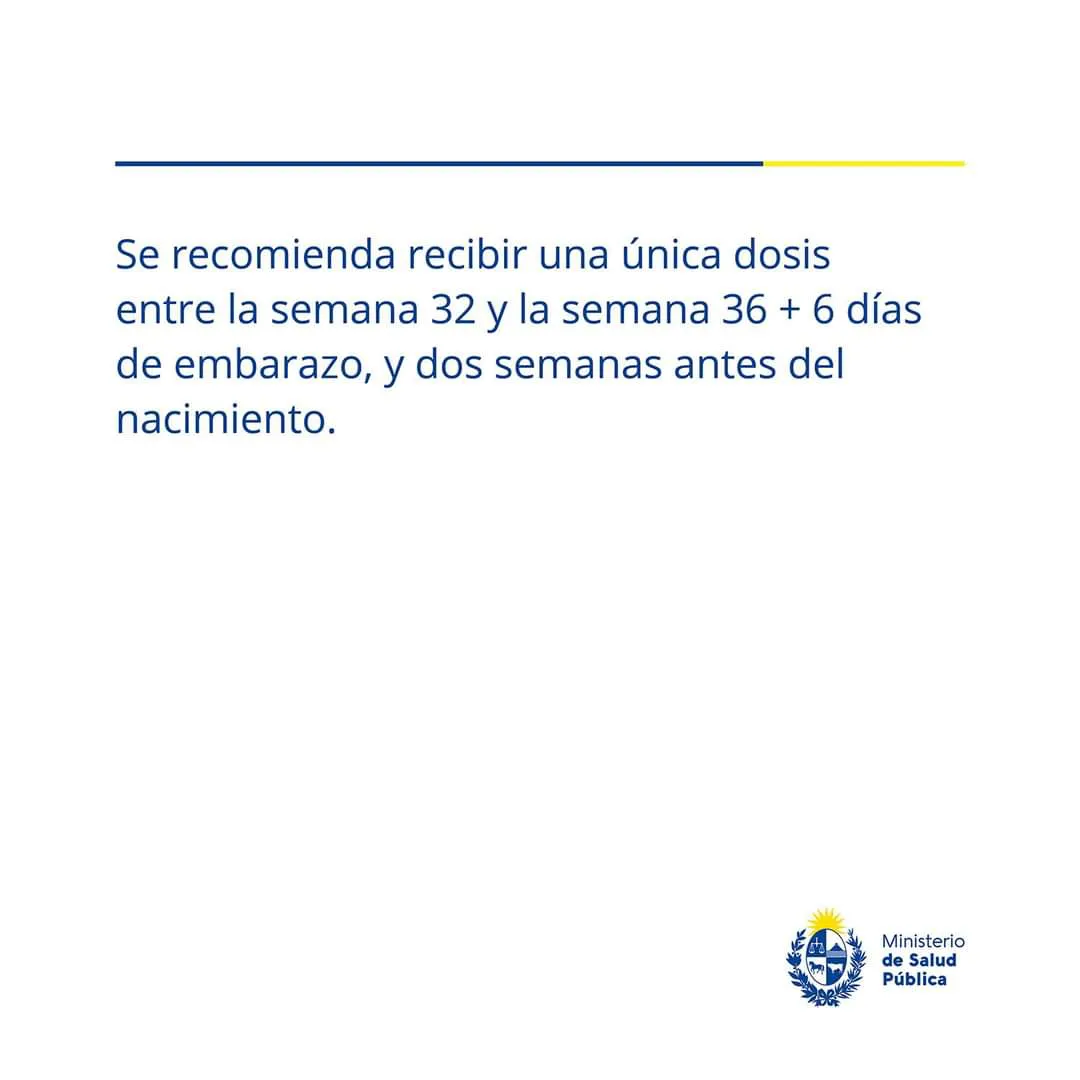 FB_IMG_1725454761457