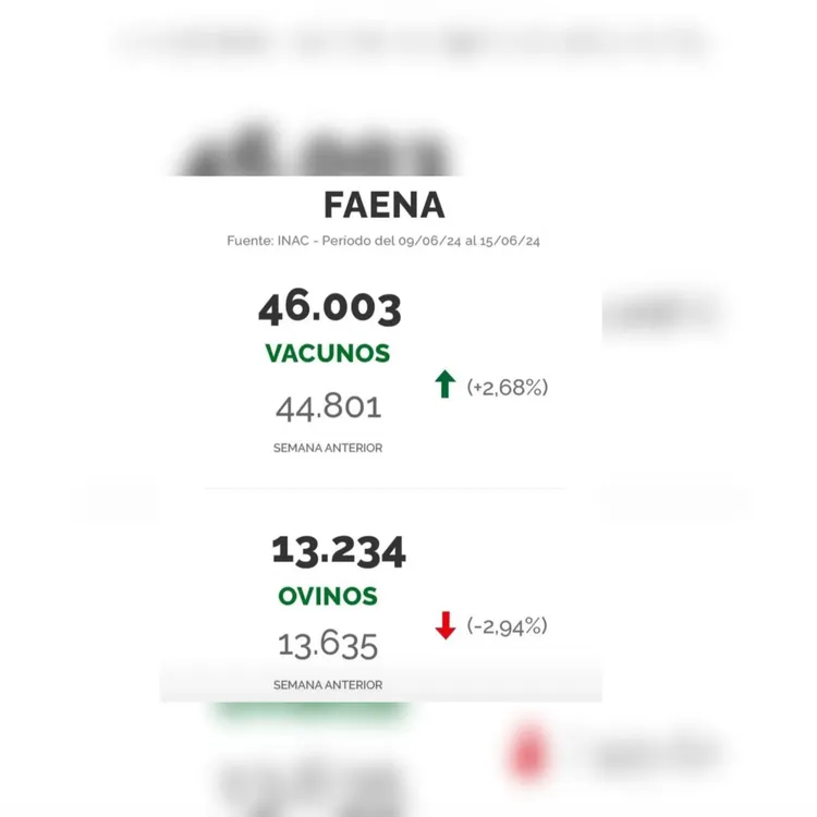 WhatsApp Image 2024-06-18 at 09.15.38 (3)