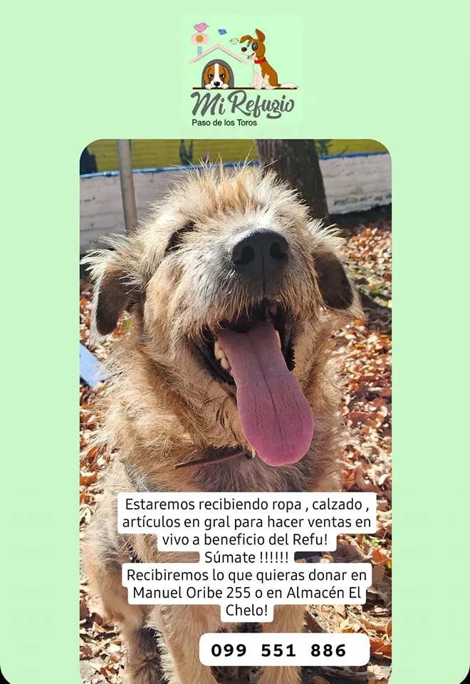 379028204_622547150075083_8033635212209959382_n