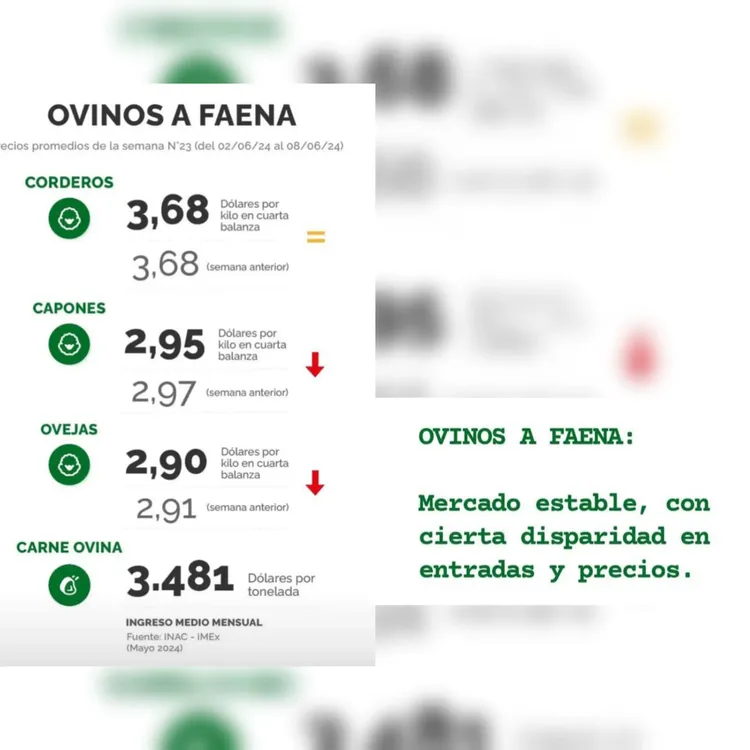 InShot_20240610_223009219