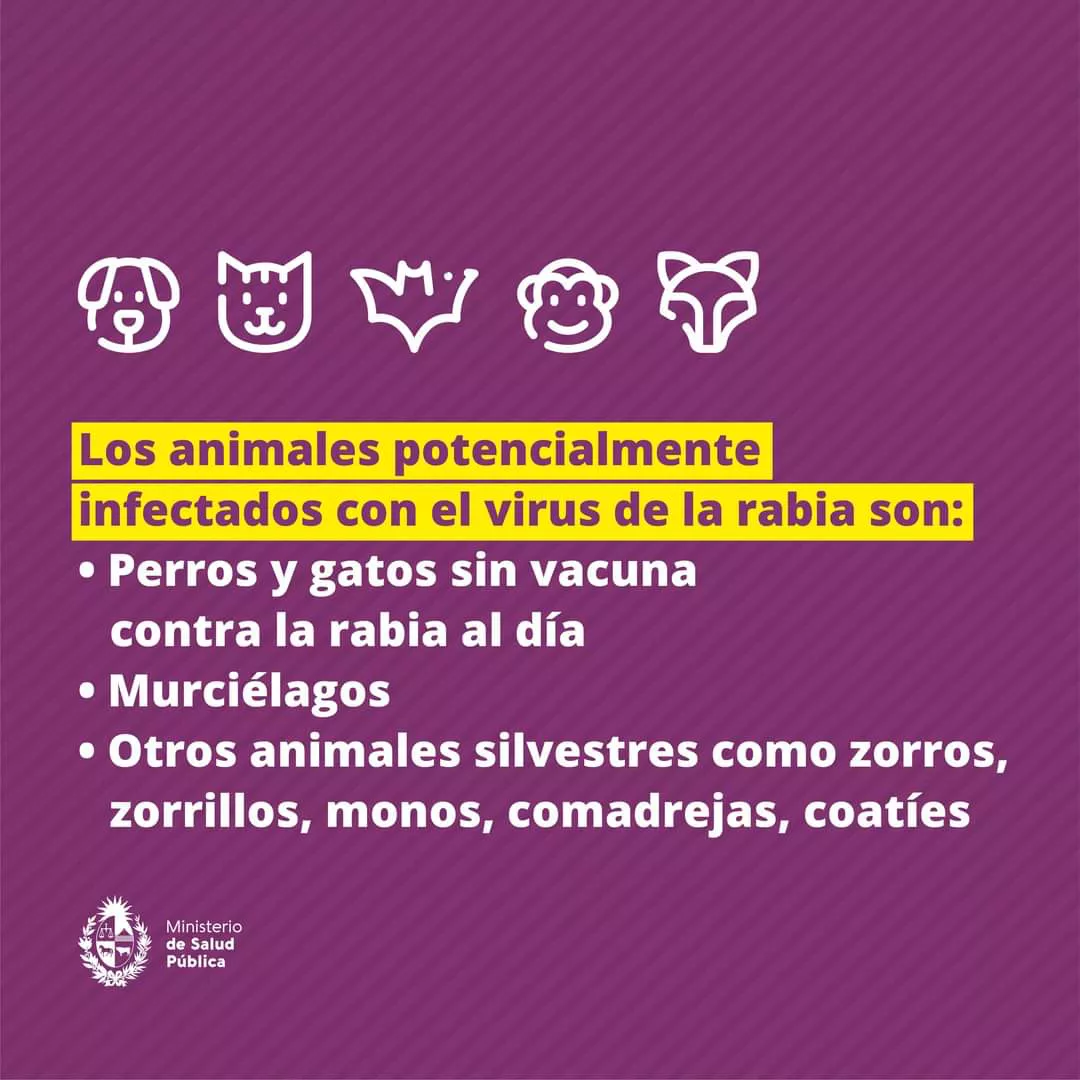 WhatsApp Image 2023-04-04 at 22.55.17 (1)