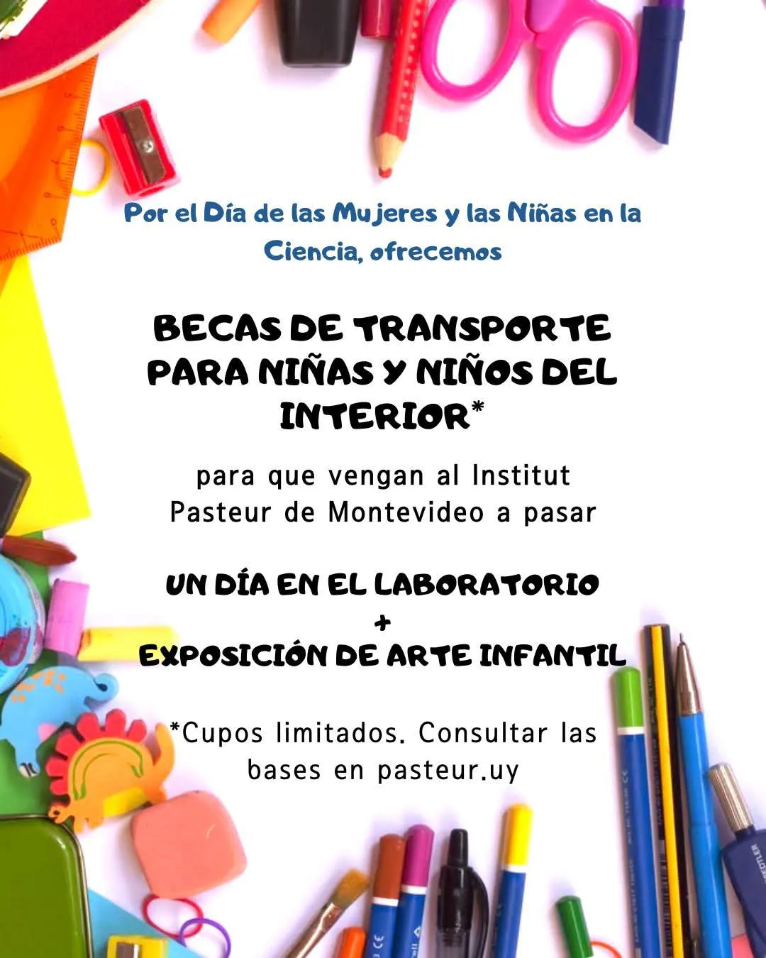 FB_IMG_1738258387776