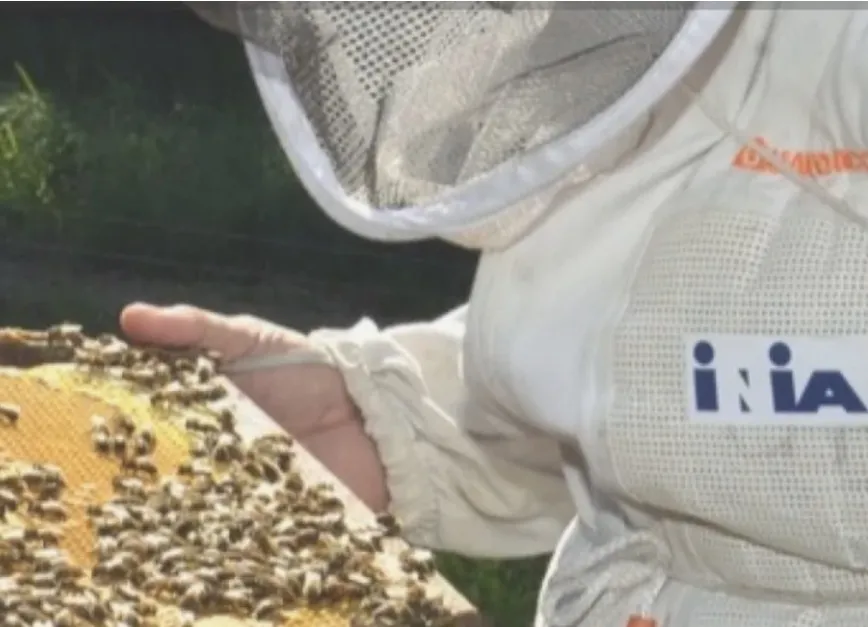 Screenshot_20260106_111441_Facebook