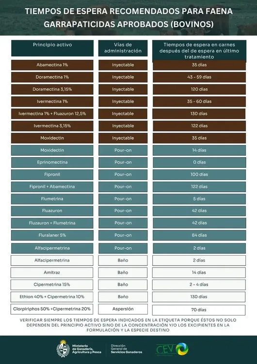 FB_IMG_1762533067684