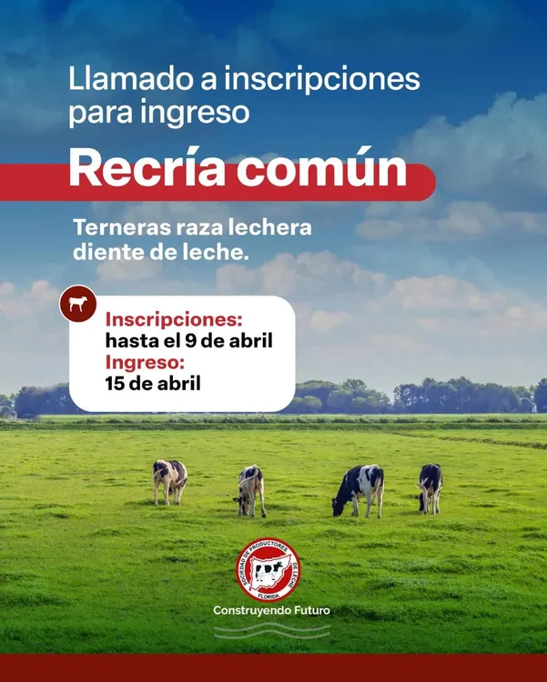 FB_IMG_1773692917715