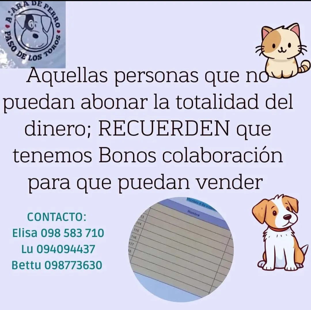 Screenshot_20241015_091501_WhatsApp