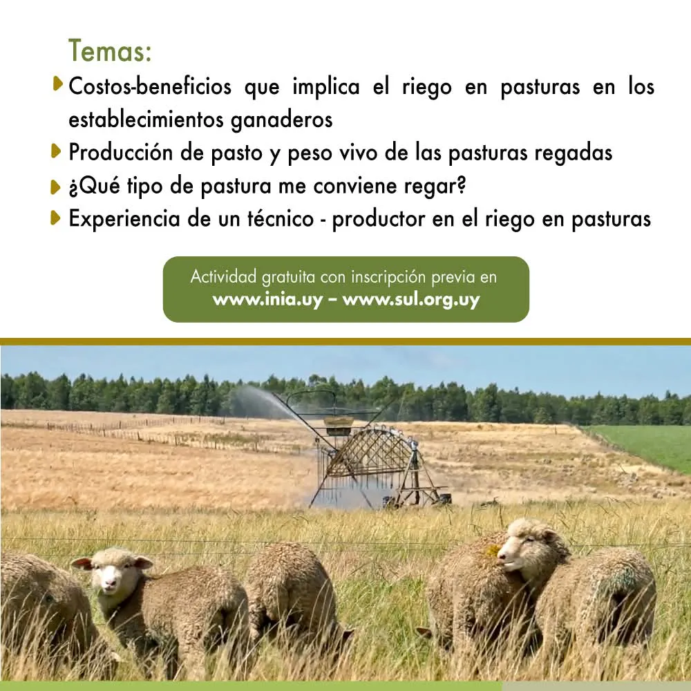 FB_IMG_1737419537964