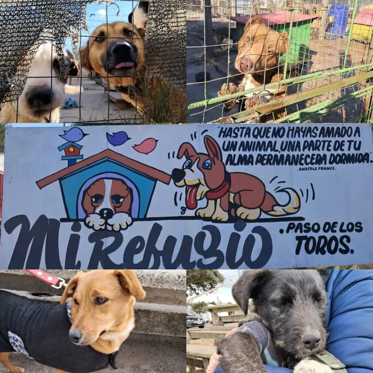 WhatsApp Image 2024-07-11 at 14.57.16