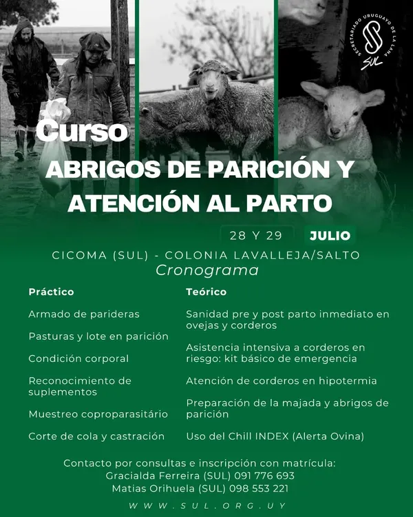 FB_IMG_1753458764373