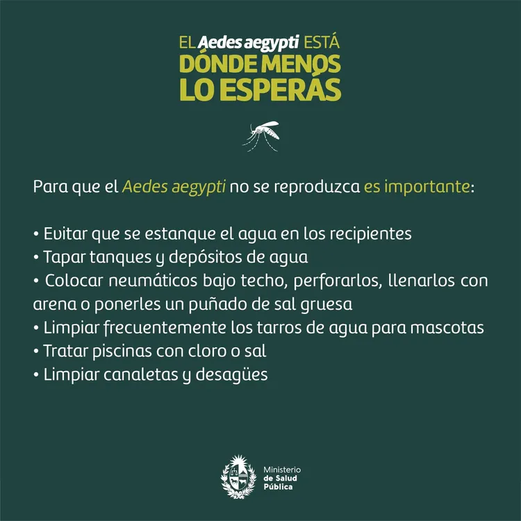 411169225_661923882778949_7395304122476457007_n