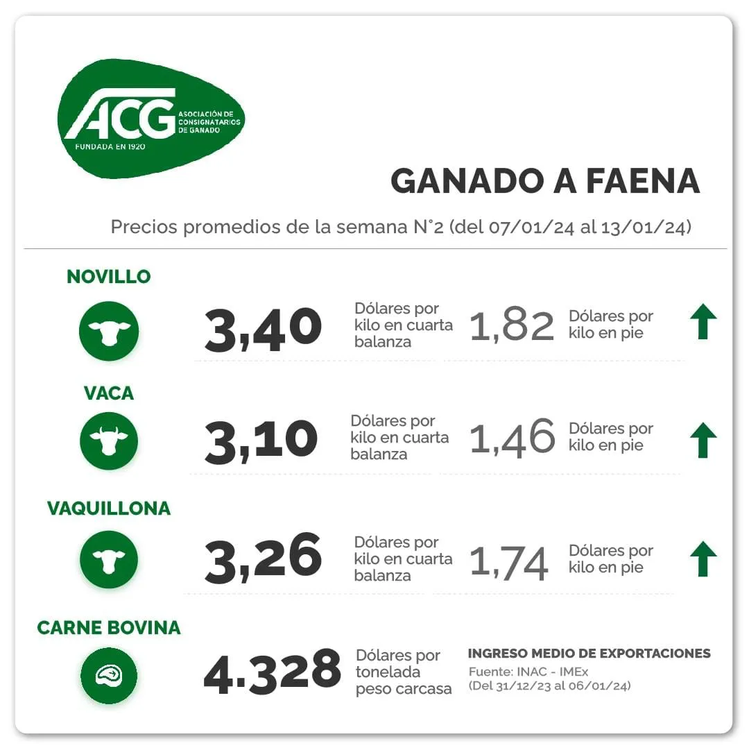 WhatsApp Image 2024-01-16 at 08.34.48