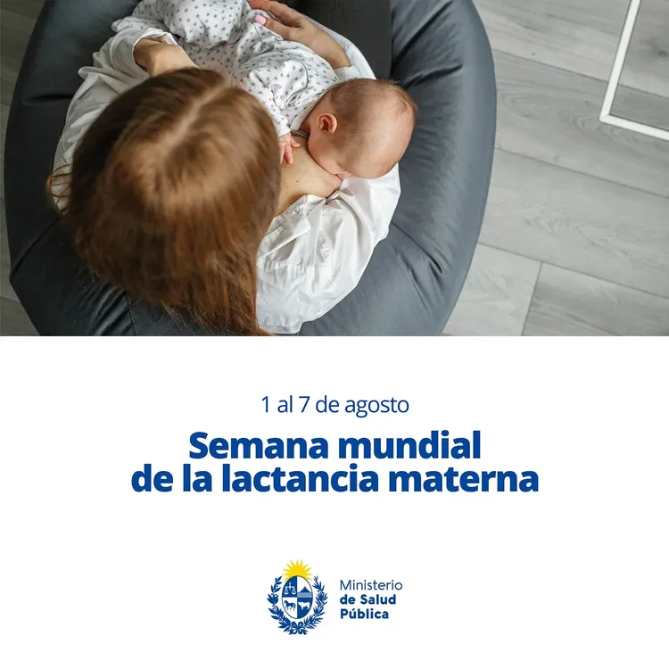 453780118_795547949416541_3215147305466224910_n