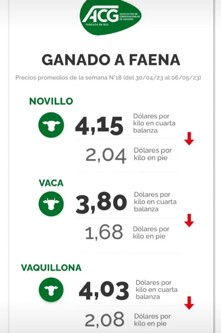 WhatsApp Image 2023-05-09 at 08.01.11