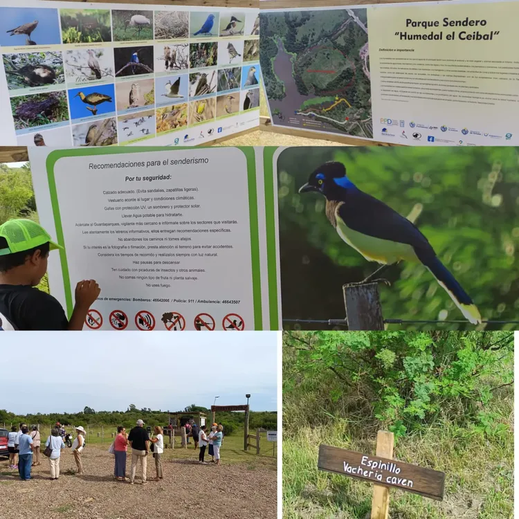 WhatsApp Image 2024-03-02 at 14.00.36