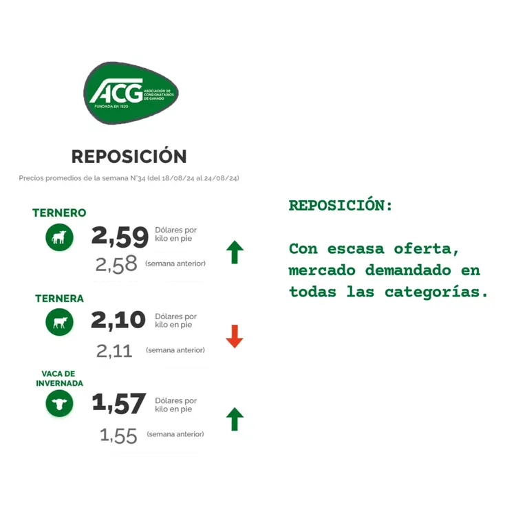 InShot_20240827_094929571