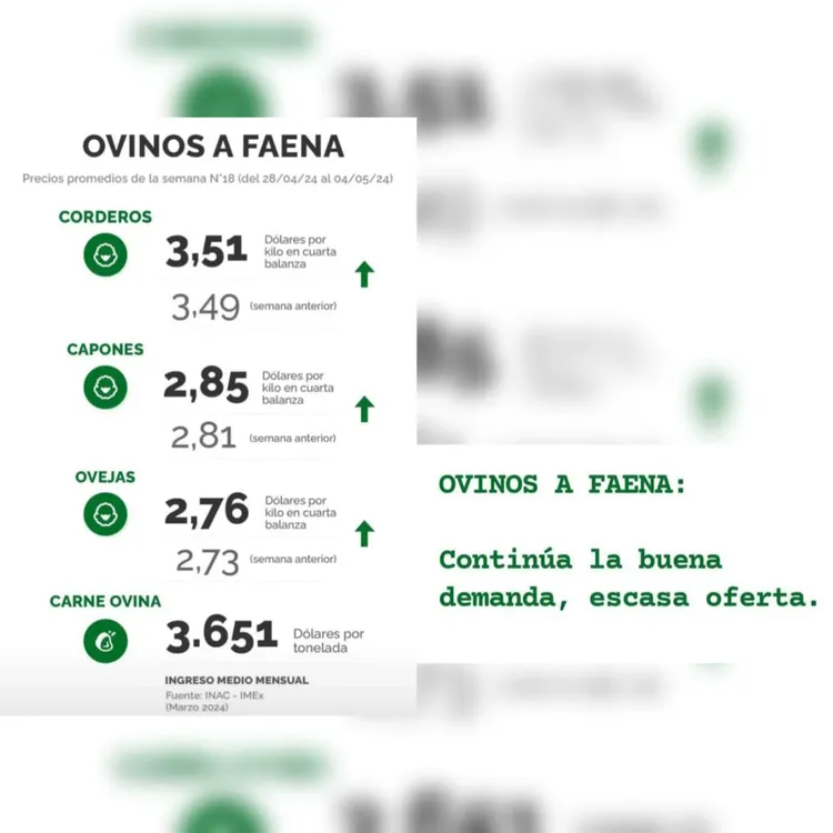 WhatsApp Image 2024-05-07 at 15.39.18