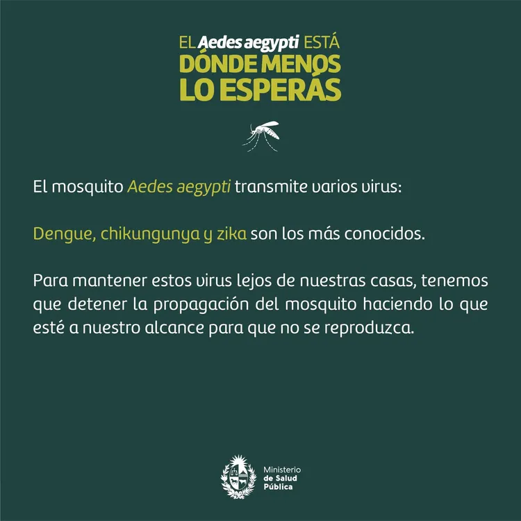 411114263_661923879445616_1857891367026211997_n