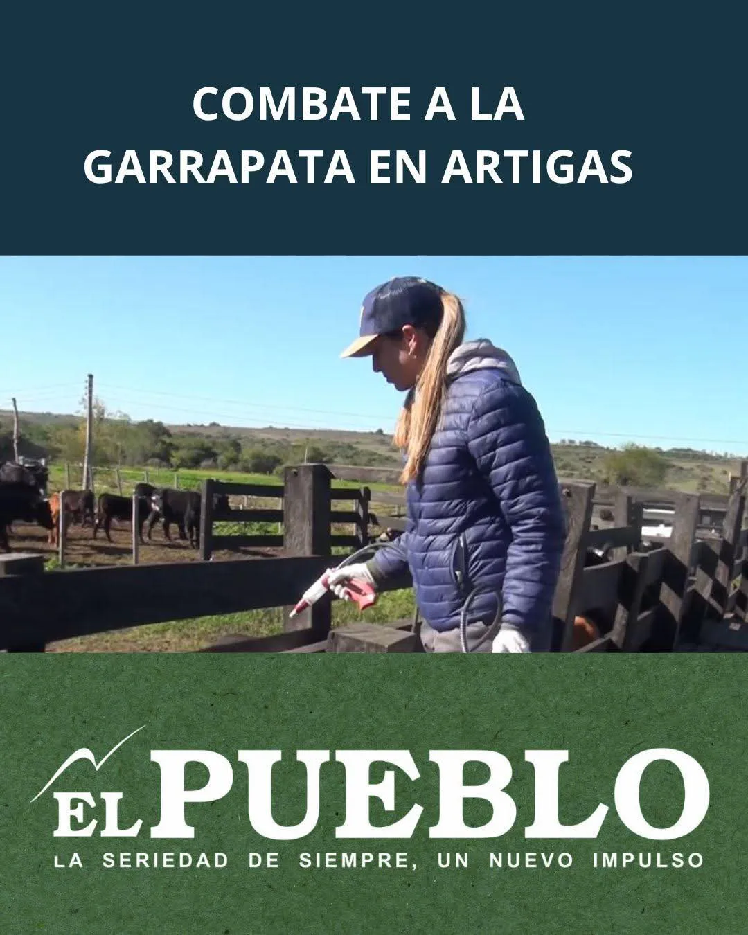 FB_IMG_1749917600596