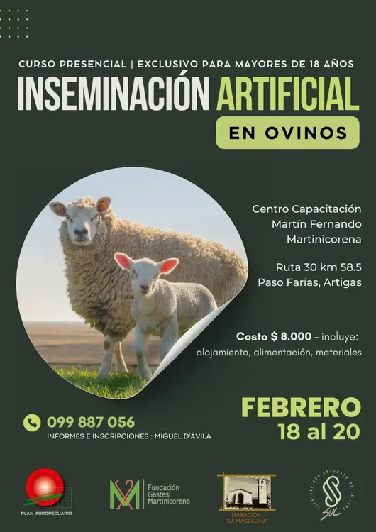 FB_IMG_1736869204030