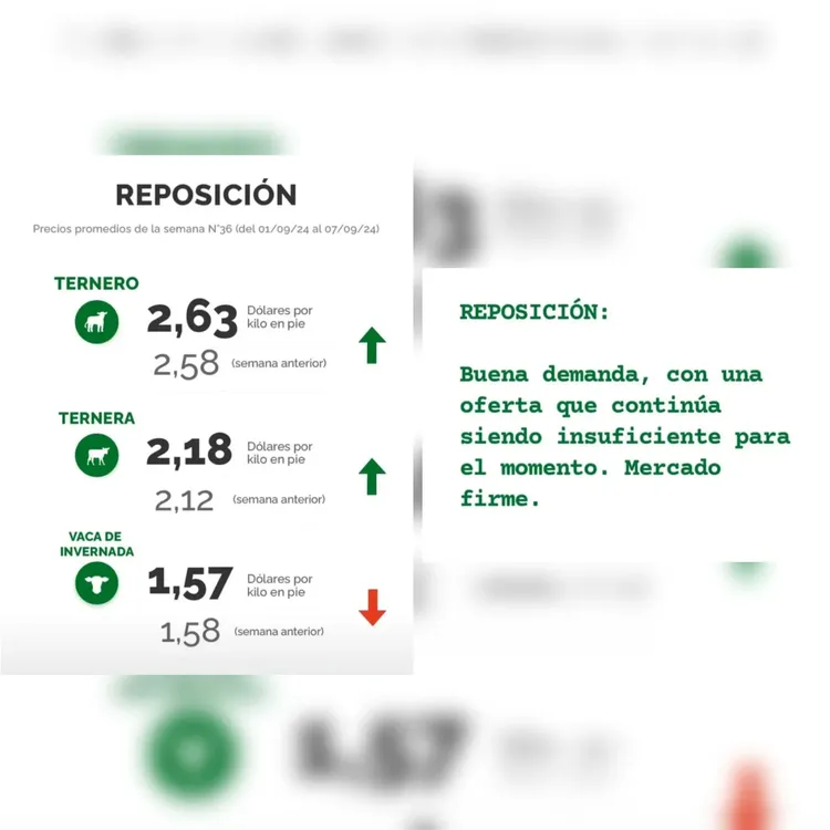 InShot_20240910_091610730